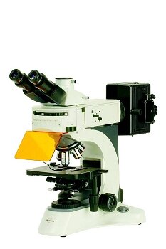 Accu-Scope 3025-EPI Fluorescence Microscope